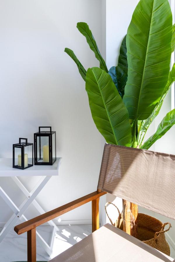 דירות כרייסטצ'רץ' Central Sunny Perch 2 Bed 1 Bath מראה חיצוני תמונה